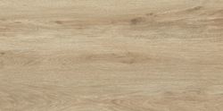 BA 60X120 DUCALE CEDAR MATE